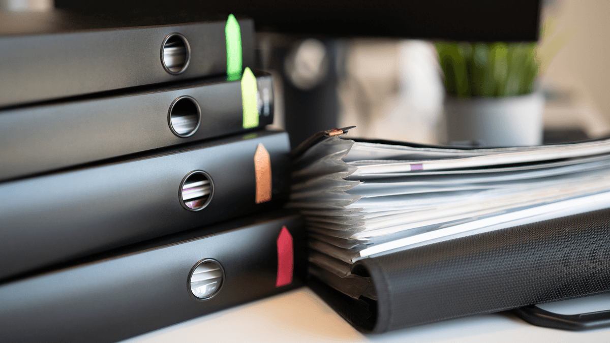 Reporting & Audit Support